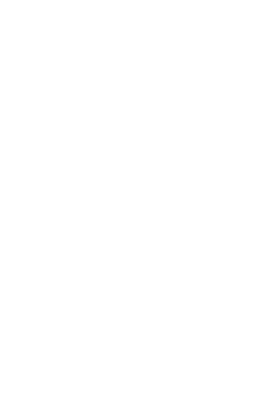 anevis logo infinite knot
